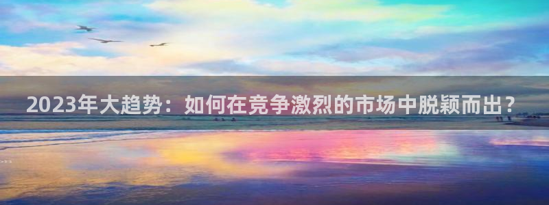 幸运彩凯捷平台注册链接：2023年大趋势：如何在竞争激烈的市场中脱颖而出？