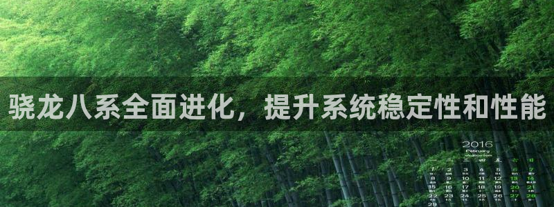 幸运彩体育和杏耀是哪个公司的：骁龙八系全面进化，提升系统稳定性和性能