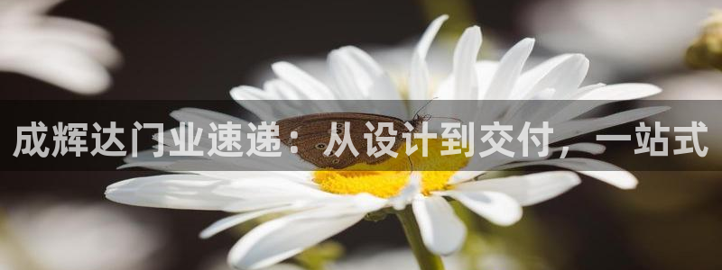 幸运彩体育热门赛事有哪些：成辉达门业速递：从设计到交付，一站式
