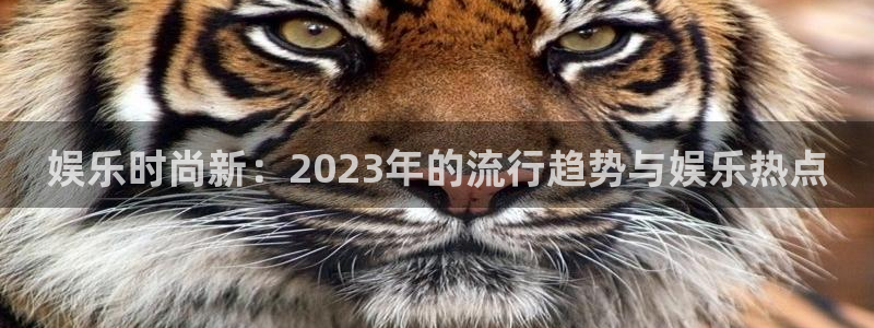 幸运彩游戏有哪些好玩的：娱乐时尚新：2023年的流行趋势与娱乐热点