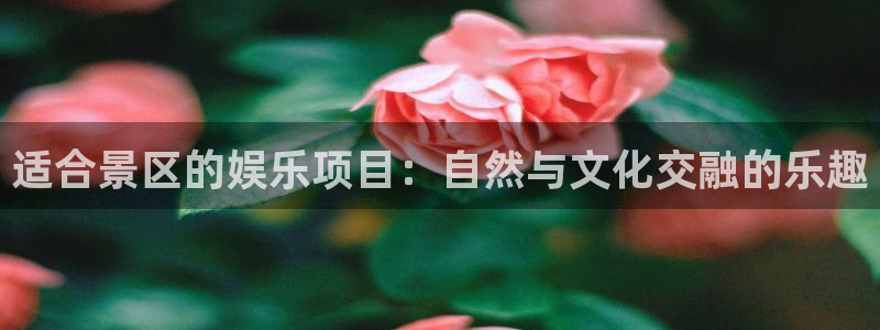 幸运彩3官网：适合景区的娱乐项目：自然与文化交融的乐趣