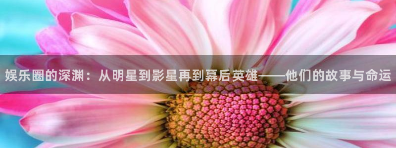 幸运彩2平台：娱乐圈的深渊：从明星到影星再到幕后英雄——他们的故事与命运