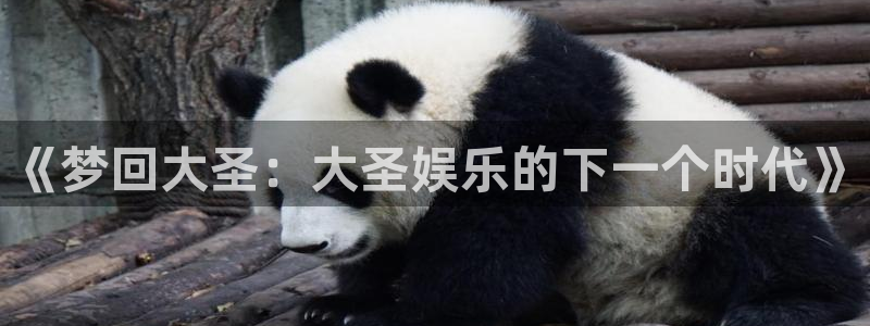 幸运彩官网入口：《梦回大圣：大圣娱乐的下一个时代》