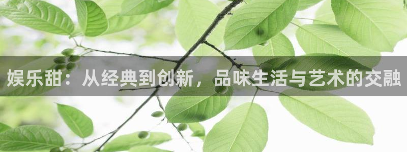 幸运彩vk：娱乐甜：从经典到创新，品味生活与艺术的交融