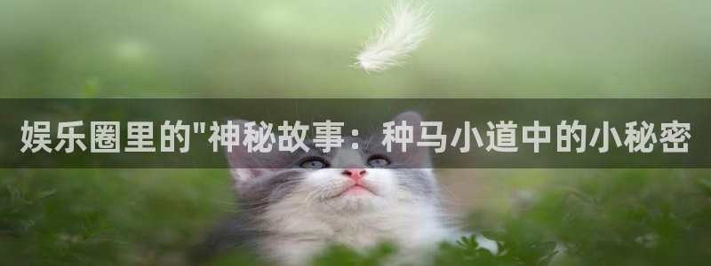 幸运彩：娱乐圈里的\