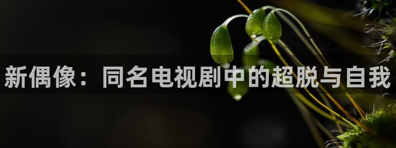 幸运彩现在优惠多少：新偶像：同名电视剧中的超脱与自我
