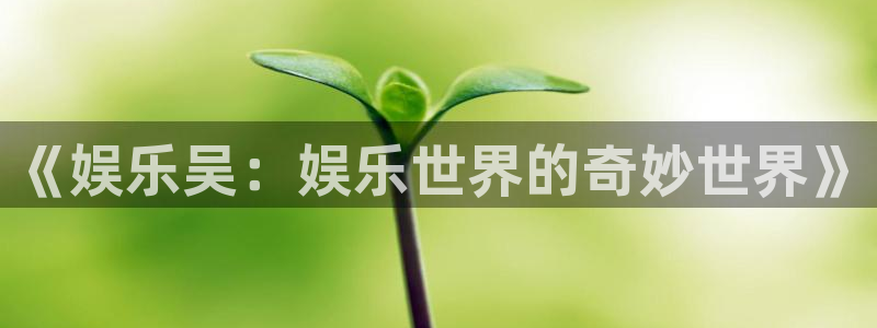 幸运彩体育注册平台：《娱乐吴：娱乐世界的奇妙世界》