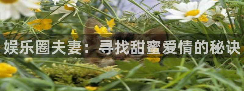 幸运彩招商：娱乐圈夫妻：寻找甜蜜爱情的秘诀