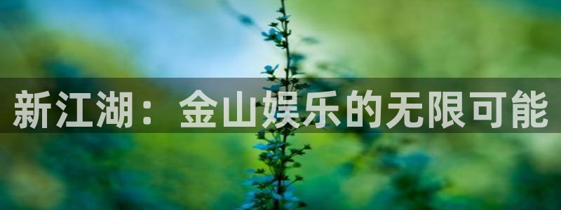 幸运彩零能源集团：新江湖：金山娱乐的无限可能