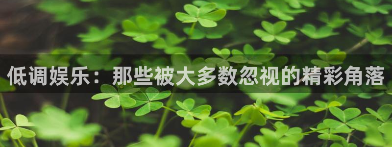幸运彩官网：低调娱乐：那些被大多数忽视的精彩角落