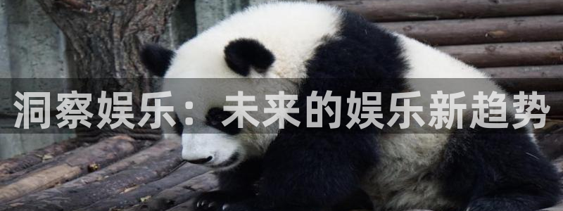 幸运彩体育凯捷平台代理：洞察娱乐：未来的娱乐新趋势