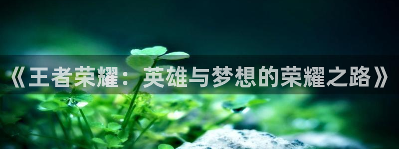 幸运彩3登录：《王者荣耀：英雄与梦想的荣耀之路》