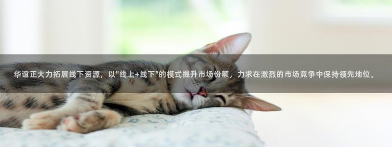 幸运彩凯捷平台注册链接：华谊正大力拓展线下资源，以\